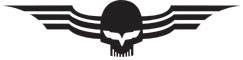 Flying Skull Sunglasses