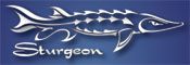 Sturgeon Sunglasses